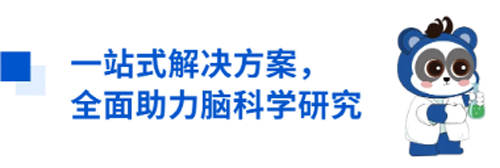大发88与您相约CNS2024，共享神经科学学术盛宴