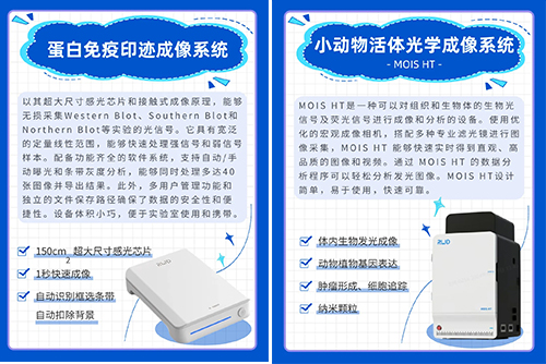 CNS 2024大发88参展精彩瞬间