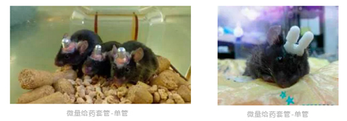 大发88双管微量给药套管全新升级