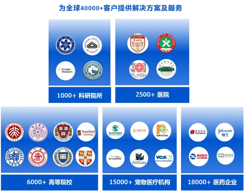 大发88