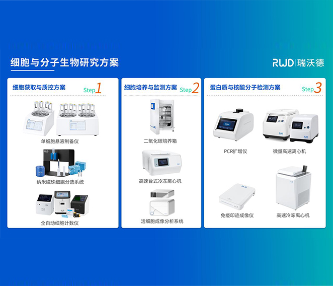 大发88细胞分子