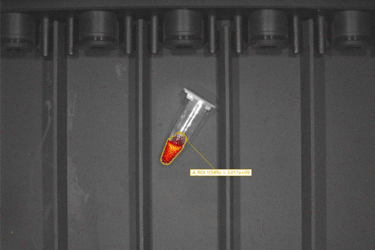 MOIS HT小动物活体光学成像系统